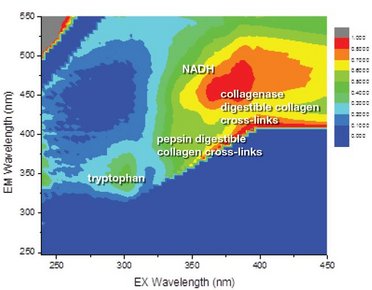 Fast and non-invasive determination of skin