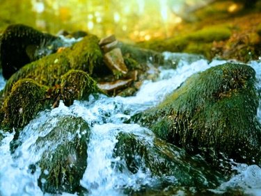 Intelligent water monitoring and resilient system solutions supporting long-term sustainability across Energy & Environment sectors.