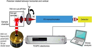 Measuring Silica Nanoparticles via Fluorescence Anisotropy