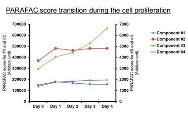 Holistic Analysis of Mammalian Cell Proliferation using Fluorescence Spectroscopy