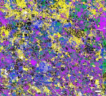 Optical Micro-spectroscopies on a Path to Identify the Source of Life