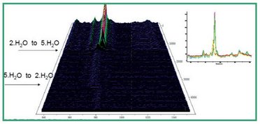 Raman Microscopy in Pharmaceutical Salt Analysis