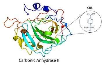 The Detection of a Low Molecular Weight Enzyme Inhibitor using the OpenPlex system